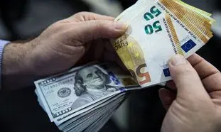 قیمت روز دلار 19 بهمن 1401/ دلیل ثبات نسبی نرخ ارز چیست؟