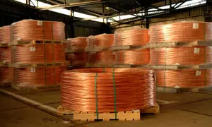 سیم مفتولی مسوار چیست و چه کاربردی دارد؟ / قیمت روز آهن آلات 20 بهمن 1401