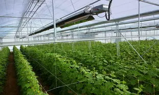 بهترین قیمت خرید سیستم گرمایش تابشی