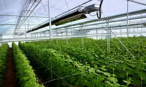 بهترین قیمت خرید سیستم گرمایش تابشی