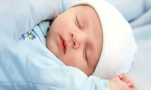 دلالان نوزاد هم قیمت ها را بالا بردند!