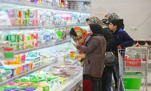 کالاهای اساسی ارزان شدند/ جزئیات طرح کاهش قیمت محصولات غذایی