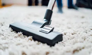 بهترین روش نگهداری جاروبرقی + قیمت جاروبرقی بوش
