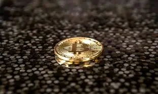 چرا خرید بیت کوین و استفاده از آن اهمیت پیدا کرد؟
