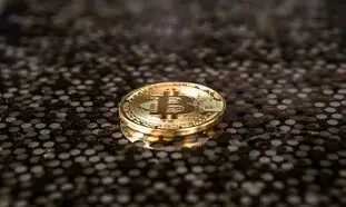 چرا خرید بیت کوین و استفاده از آن اهمیت پیدا کرد؟