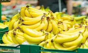 خطر فاسد شدن موز های وارداتی در گمرک