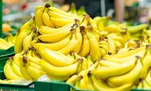 خطر فاسد شدن موز های وارداتی در گمرک