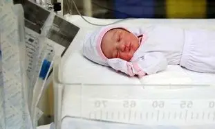 واگذاری سهام به متولدین 1402