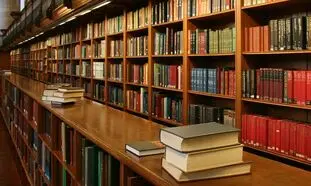 آشنایی با رشته مدیریت (گرایش ها، بازارکار و درآمد)