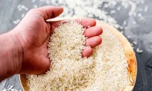 قیمت برنج 10 کیلوگرمی ایرانی در بازار چقدر است؟