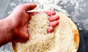 قیمت برنج 10 کیلوگرمی ایرانی در بازار چقدر است؟