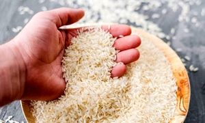 قیمت برنج 10 کیلوگرمی ایرانی در بازار چقدر است؟