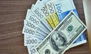 قیمت روز دلار 24 اسفند 1401/ استراحت نرخ ارز در روز جاری