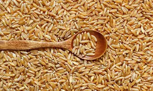 مبلغ فطریه امسال چقدر است؟
