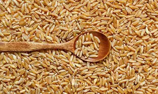 مبلغ فطریه امسال چقدر است؟
