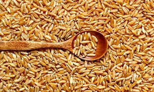 مبلغ فطریه امسال چقدر است؟