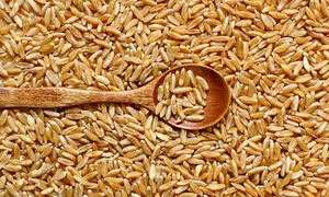 مبلغ فطریه امسال چقدر است؟