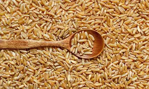 مبلغ فطریه امسال چقدر است؟