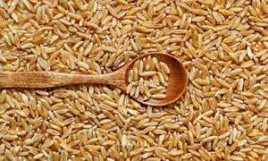 مبلغ فطریه امسال چقدر است؟