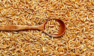 مبلغ فطریه امسال چقدر است؟