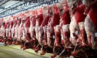 ثبات قیمت گوشت با جلوگیری از قاچاق دام