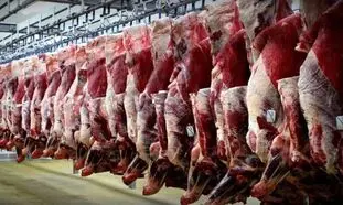 ثبات قیمت گوشت با جلوگیری از قاچاق دام