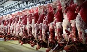ثبات قیمت گوشت با جلوگیری از قاچاق دام