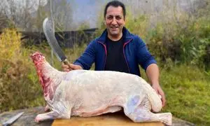 روش پخت گوسفند در دل طبیعت (ویدیو)