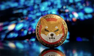بهترین روش برای پیگیری تغییرات قیمت شیبا