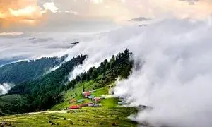 5 جنگل ابر در ایران که باید ببینید