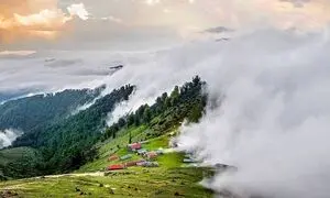 5 جنگل ابر در ایران که باید ببینید