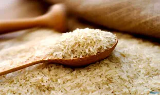 احتمال فاسد شدن برنج های وارداتی در گمرک