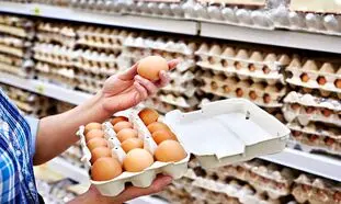 قیمت انواع تخم مرغ در بازار چند؟