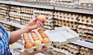 قیمت انواع تخم مرغ در بازار چند؟