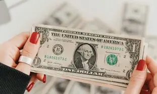 قیمت روز دلار 30 فروردین 1402/ معامله گران به دنبال کف جدید قیمتی هستند؟