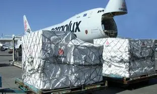 صفر تا صد فریت بار به کانادا با یک مجموعه کاربلد