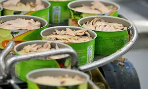 کنسرو ماهی گران می‌شود