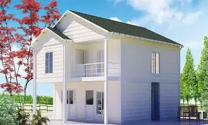 هر آنچه باید درباره ورق کانکسی بدانید