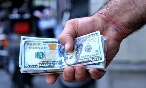 دلار آبی و دلار سبز : 4 تفاوت مهم که متقاضیان دلار باید بدانند