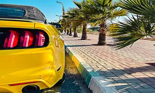 همه چیز درباره رنت سواری و شرایط آن