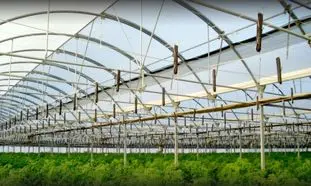 قیمت لوله گلخانه به چه عواملی بستگی دارد؟