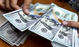 قیمت روز دلار 20 اردیبهشت 1402/ علت نوسان جزئی نرخ ارز چیست؟
