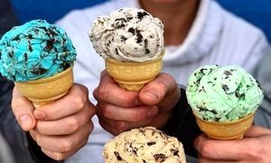 بهترین بستنی فروشی های شیراز کدامند؟