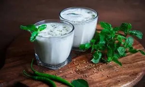 قیمت انواع دوغ با سبزیجات معطر در بازار چند؟