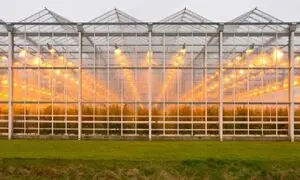 درباره لوله گلخانه و کاربردهای آن بیشتر بدانید + راهنمای خرید