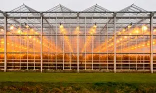 درباره لوله گلخانه و کاربردهای آن بیشتر بدانید + راهنمای خرید