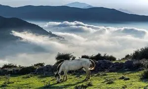 5 روستای دنج اطراف تهران برای پیک نیک