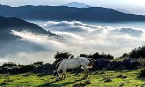 5 روستای دنج اطراف تهران برای پیک نیک