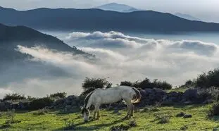 5 روستای دنج اطراف تهران برای پیک نیک