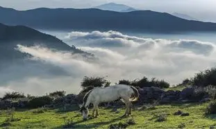 5 روستای دنج اطراف تهران برای پیک نیک